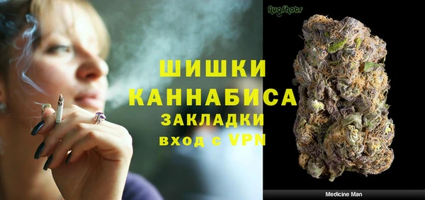 мдпв Новодвинск