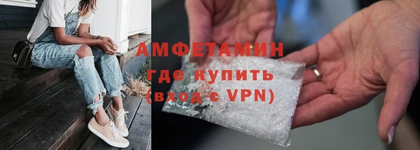 крисы Новозыбков