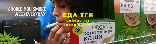 гидра Абаза