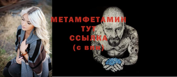 гидра Абаза
