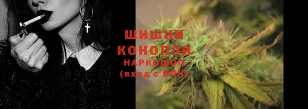 гидра Абаза