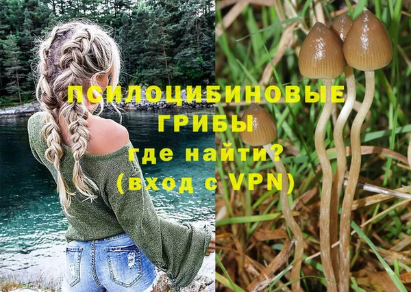 крисы Новозыбков