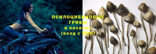 гидра Абаза